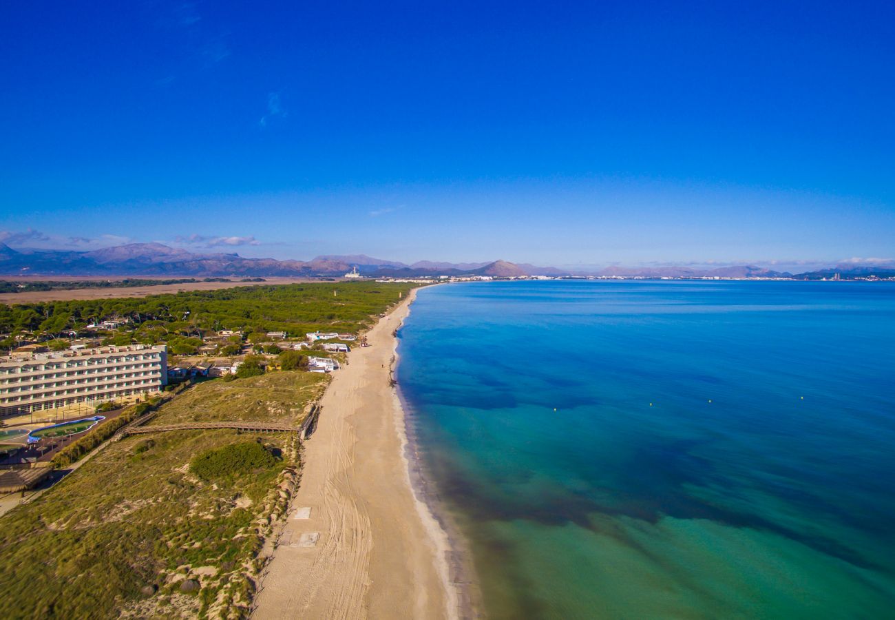 Ferienwohnung in Can Picafort - Castelló Playa ID:302068